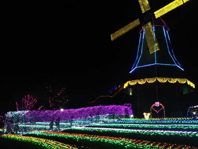 週末土日は近場で過ごす。パン食べ放題＆霞ヶ浦総合公園の水郷桜イルミネーション＆つくば温泉