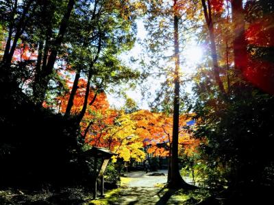 2019秋　京都の高雄・清滝・嵐山をひとり歩き