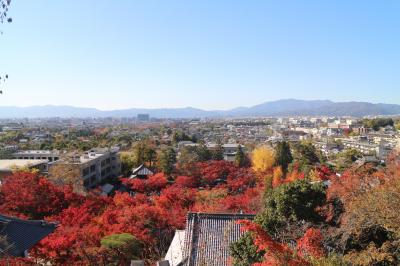 2019 京都の紅葉、永観堂～哲学の道