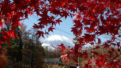 晩秋の山梨への旅　その②富士の裾野に秋が残っていた！
