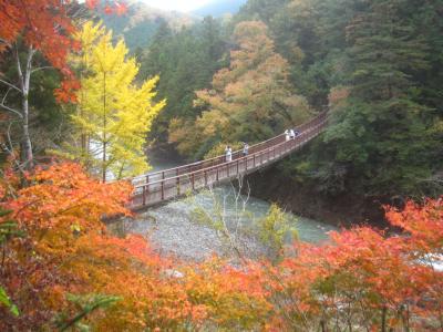 雨が上がった そうだ､秋川渓谷に紅葉見に行こう！