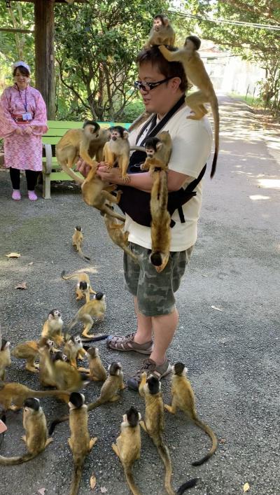 沖縄6泊7日の旅　備忘録　4日目