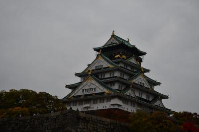 巨大な縄張り、大坂城