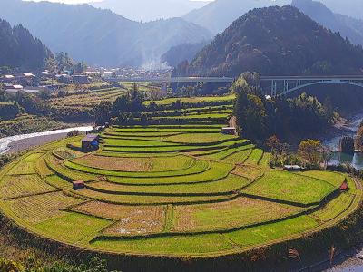 グルメに紅葉、秋の和歌山満喫旅３日目