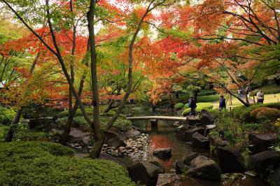 大田黒公園の紅葉