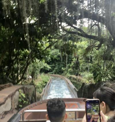 シンガポール旅行記　リバーサファリ編