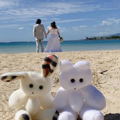 コップとカーの『挙式でハワイへ♪♪』ひさしぶり! ハワイ!　その２