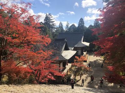 名鉄ハイキング「紅葉の嵯峨野から京都三尾めぐり」に参加
