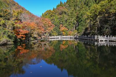 紅葉穴場巡り(滋賀・湖西)