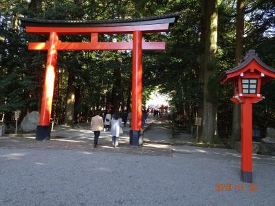 2019年11月/霧島神宮＆霧島蒸留所 明るい農村(TV放送) 焼酎 ⑧ 