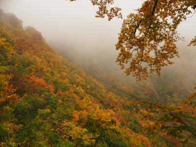 日本百名山遠征 雨と紅葉の雨飾山登山