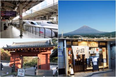 そうだ　京都、行こう～１　平等院 (2019.11.19)