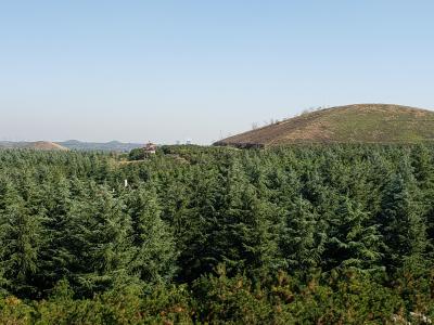 おばあちゃん一人で歩いた歩いた、すっとんとん！前漢王陵墓！