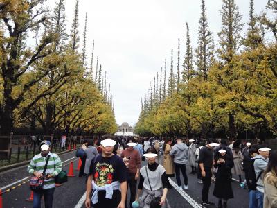 神宮いちょう並木からのぉ、時効警察ってなんだよ