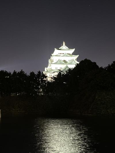 ライトアップ名古屋城&#127983;