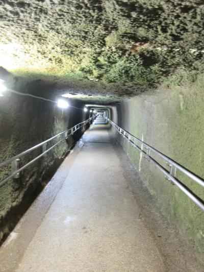 猫探し【島根(石見銀山・Iwami silver mine)編-1】