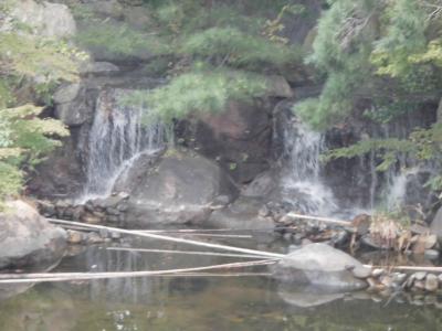 鳥屋野潟公園鐘木地区を見てきました