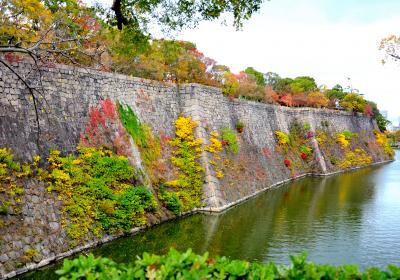 紅葉の大阪城と石清水八幡宮