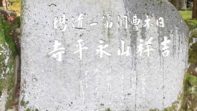 4人で、金沢に行きました。福井にも行ったよ。福井の巻　ママ編