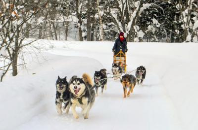 しばれるね！北の大地 後編