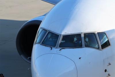 広島へ学会で！もちろん広島グルメ名物も狙いです。JAL特典航空券で行きました。