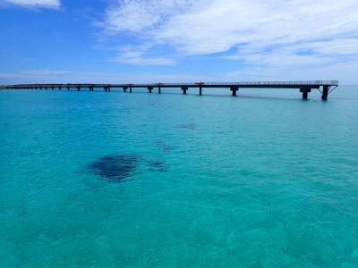 初!宮古島 イルカ登場編 (vol.2)