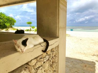 楽しかった竹富島 ~ 《 後半 》 絶景コンドイビーチと石垣島グルメ