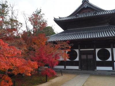 総社・宝福寺の紅葉★まだまだ見られそう