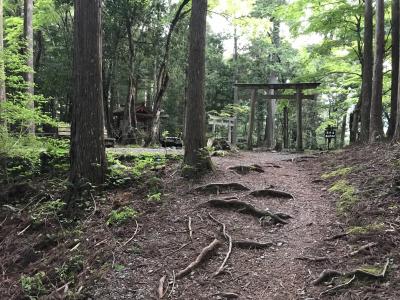 関西周遊紀行、発心門王子から熊野本宮大社へ（９、１０日目）