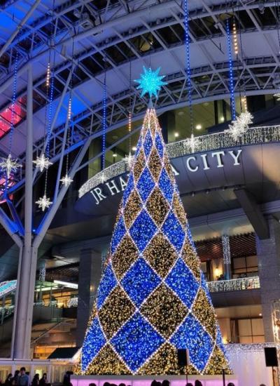 福岡散歩 2019・10~12月