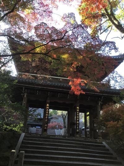 今度は家族で　下関フグの旅　in 長府