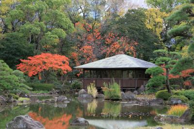 天王寺公園内の慶沢園の庭園が綺麗です。茶臼山古墳をみて堀越神社へお参りしました。