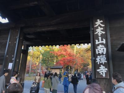 午後からちょっと、大阪発紅葉の京都へ行っちゃいましょ