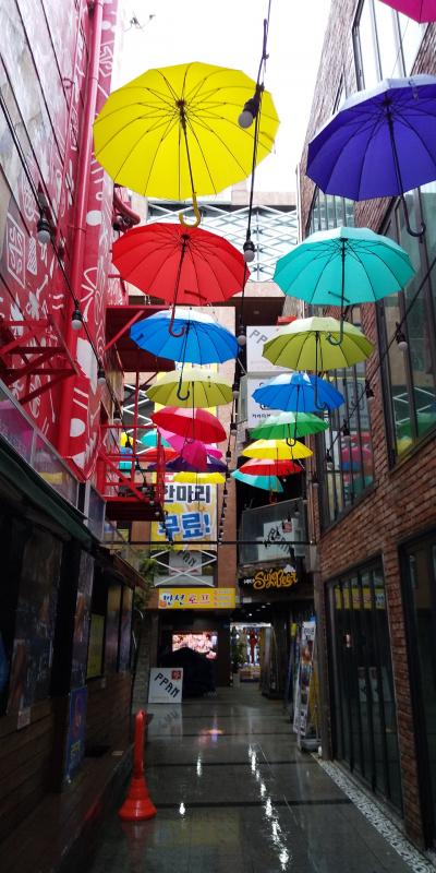 大荒れだった秋の釜山、長月2019