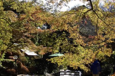 旧山本条太郎別邸（庭園など）