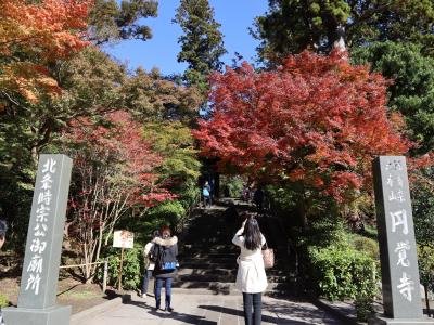 晩秋の北鎌倉　そして　鎌倉で「カレーライス」（後編） 2019