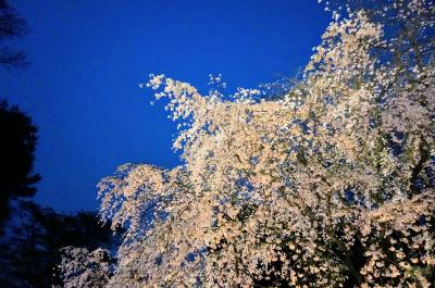 都立庭園カレンダーＧＥＴ♪　９か所都内庭園巡り　⑨　（六義園）