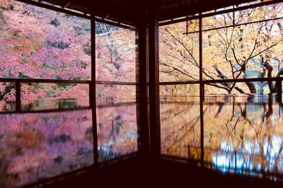 秋の京都＊瑠璃光院