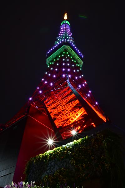 新しいレンズで撮りまくる！！埼玉・東京1日目