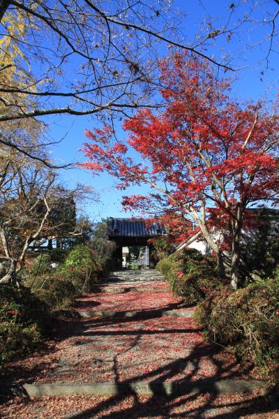 知る人ぞ知る西恩寺の紅葉　大阪府千早赤阪村