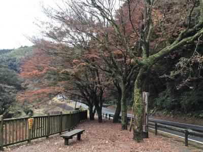 新川渓谷に紅葉を見に行って見ました