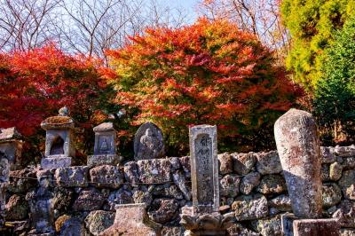 国東の紅葉 2019