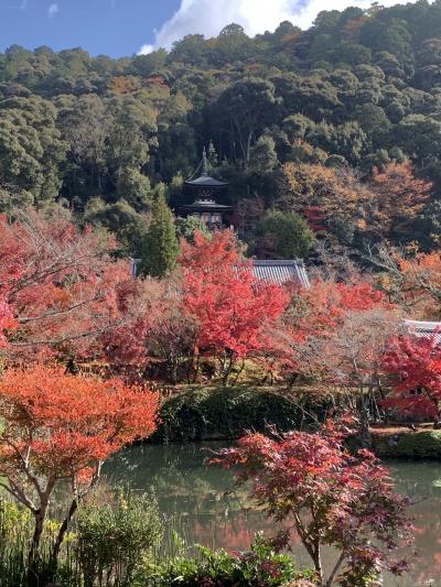 紅葉の京都へ　あのおにぎりがどうしても食べたい！