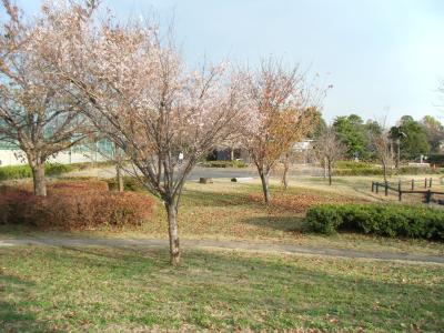東京・多摩の秋 【フォト・ジョグ】