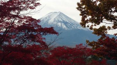 富士山をくるっと廻ってきた