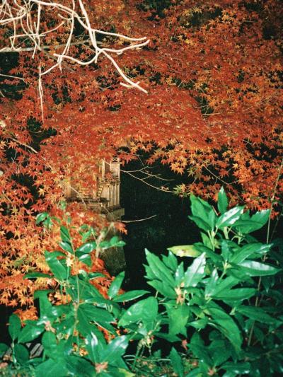 石山寺周辺 紅葉 に関する旅行記 ブログ フォートラベル 滋賀県