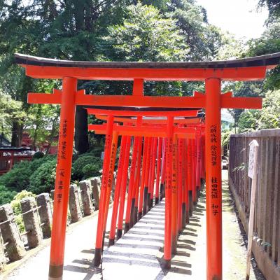 根津神社～汗を拭きふき谷根千散策決行