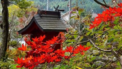 丹波篠山 紅葉 に関する旅行記 ブログ フォートラベル 兵庫県