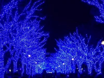 2017年　渋谷　青の洞窟　青、青、青の世界。