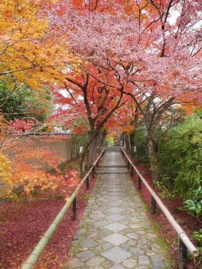 晩秋の京都①（１日目前半）☆常照寺・光悦寺・今宮神社☆光悦茶屋☆2019/11/27